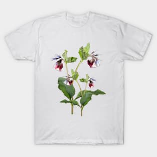 Comfrey Flower. T-Shirt